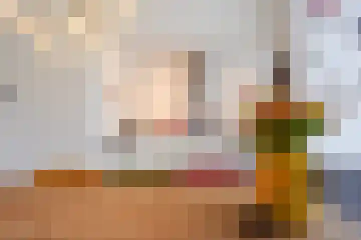 Waldeck Pyrmontkade 447 Den Haag thumbnail 21