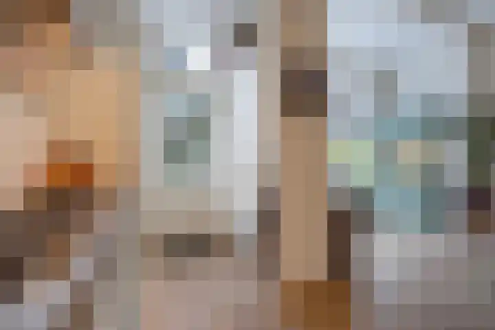 Waldeck Pyrmontkade 447 Den Haag thumbnail 27