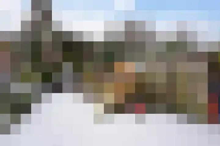 Waldeck Pyrmontkade 447 Den Haag thumbnail 29