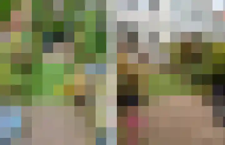 Waldeck Pyrmontkade 447 Den Haag thumbnail 33