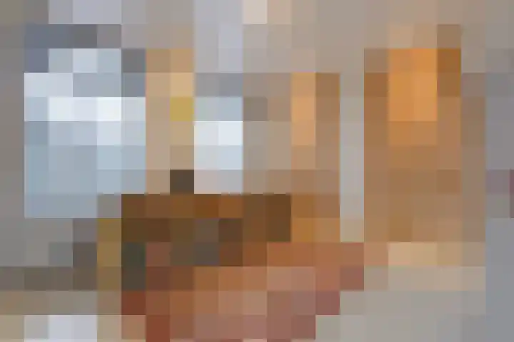 Waldeck Pyrmontkade 447 Den Haag thumbnail 37
