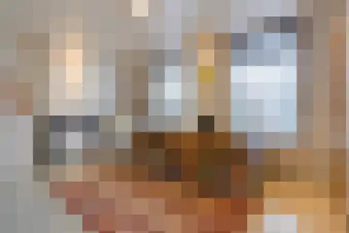 Waldeck Pyrmontkade 447 Den Haag thumbnail 38