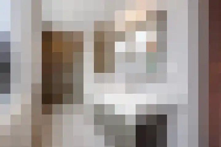 Waldeck Pyrmontkade 447 Den Haag thumbnail 49