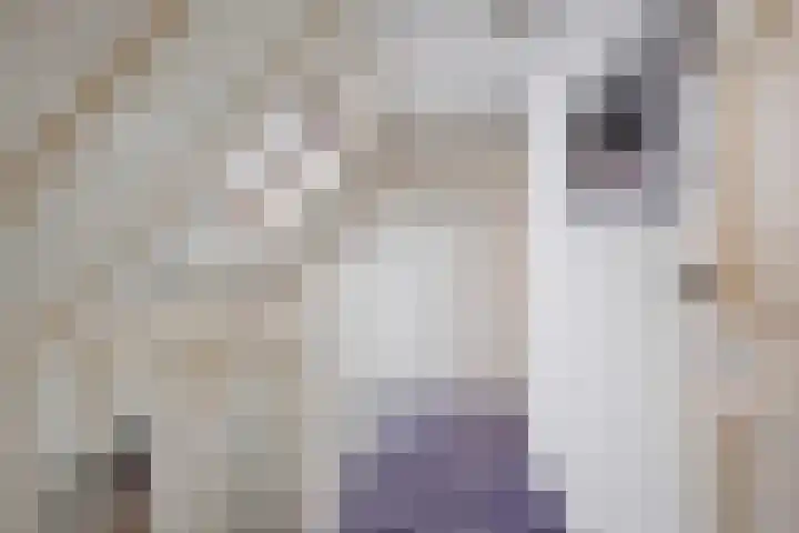 Waldeck Pyrmontkade 447 Den Haag thumbnail 53