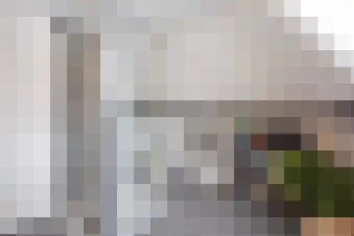 Waldeck Pyrmontkade 447 Den Haag thumbnail 58