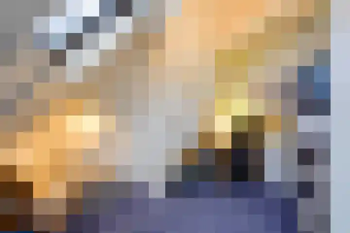 Waldeck Pyrmontkade 447 Den Haag thumbnail 64