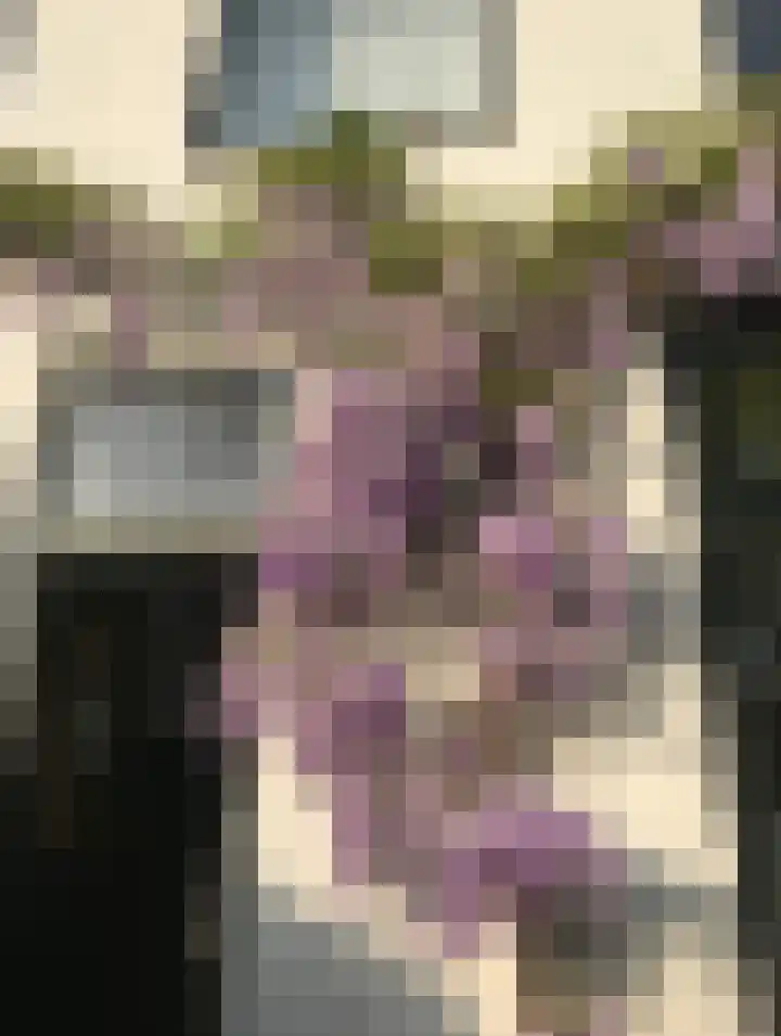 Waldeck Pyrmontkade 447 Den Haag thumbnail 68