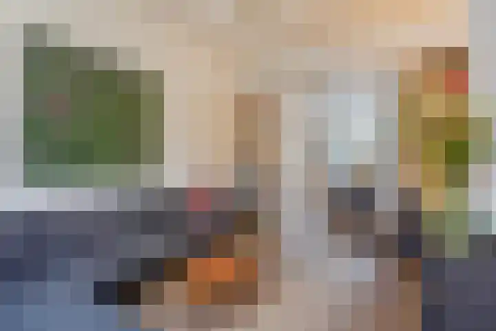 Waldeck Pyrmontkade 447 Den Haag thumbnail 8