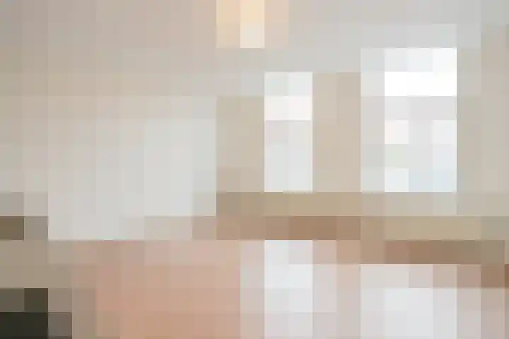 Waldeck Pyrmontkade 674 A Den Haag thumbnail 9