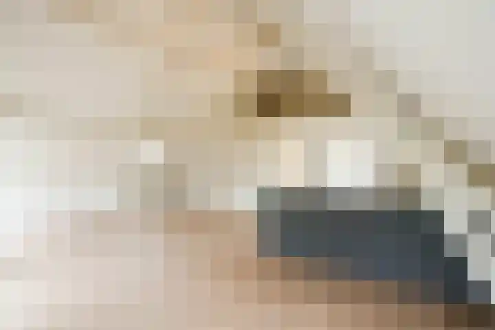 Waldeck Pyrmontkade 674 B Den Haag thumbnail 5