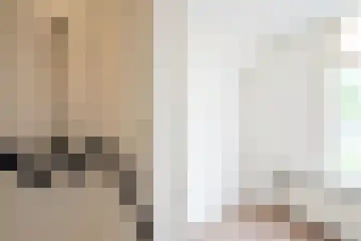 Waldeck Pyrmontkade 674 Den Haag thumbnail 22