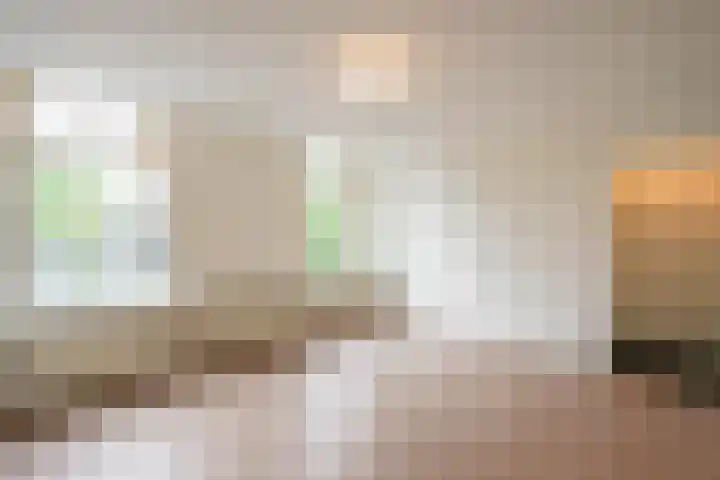 Waldeck Pyrmontkade 674 Den Haag thumbnail 24