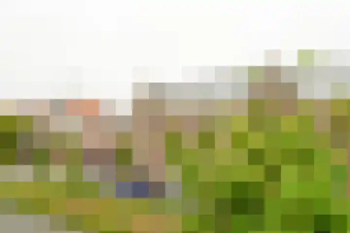 Waldeck Pyrmontkade 675 A Den Haag thumbnail 11