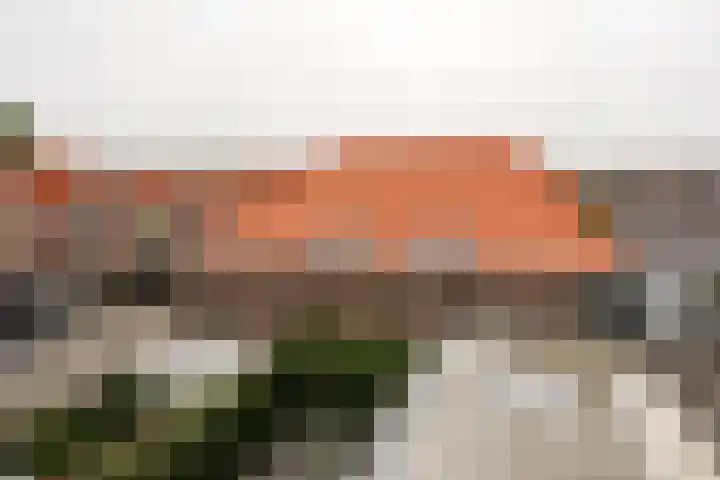 Waldeck Pyrmontkade 675 A Den Haag thumbnail 21