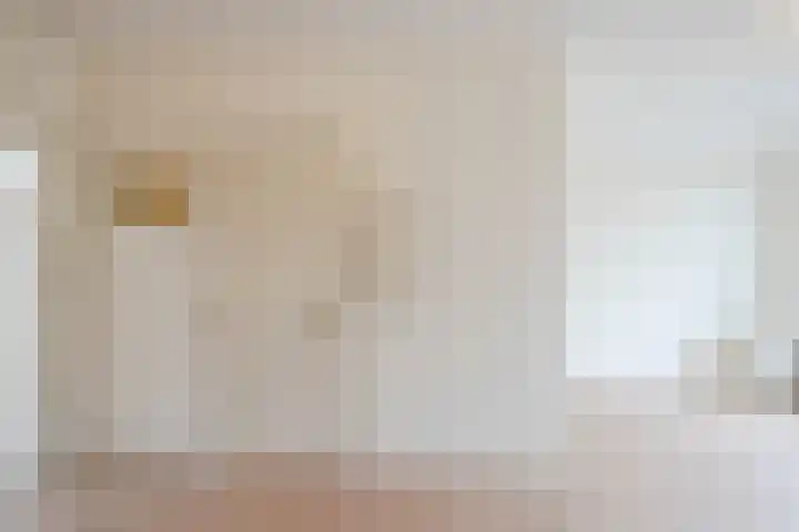 Waldeck Pyrmontkade 675 Den Haag thumbnail 9