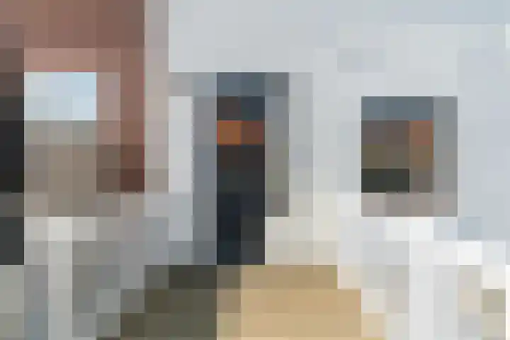 Waldeck Pyrmontkade 679 Den Haag thumbnail 11