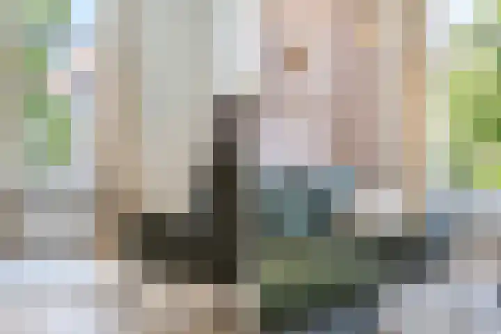 Waldeck Pyrmontkade 679 Den Haag thumbnail 7