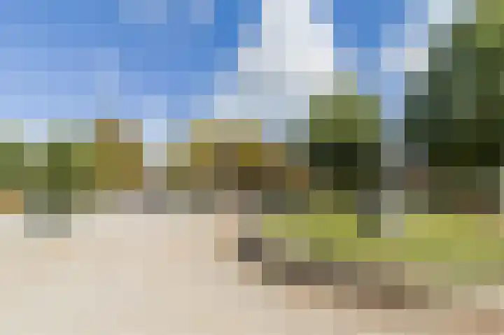 Waldeck Pyrmontkade 680 Den Haag thumbnail 31