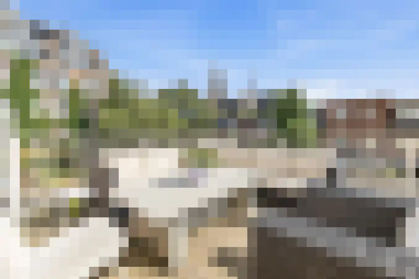 Waldeck Pyrmontkade 69 Den Haag thumbnail 14