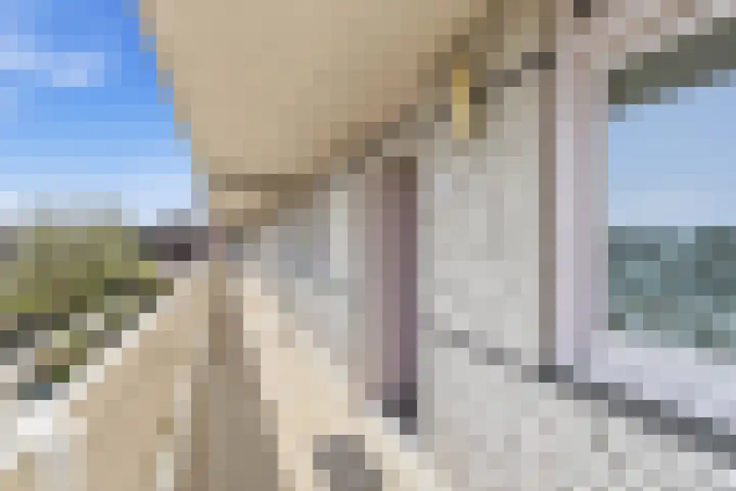 Waldeck Pyrmontkade 69 Den Haag thumbnail 19
