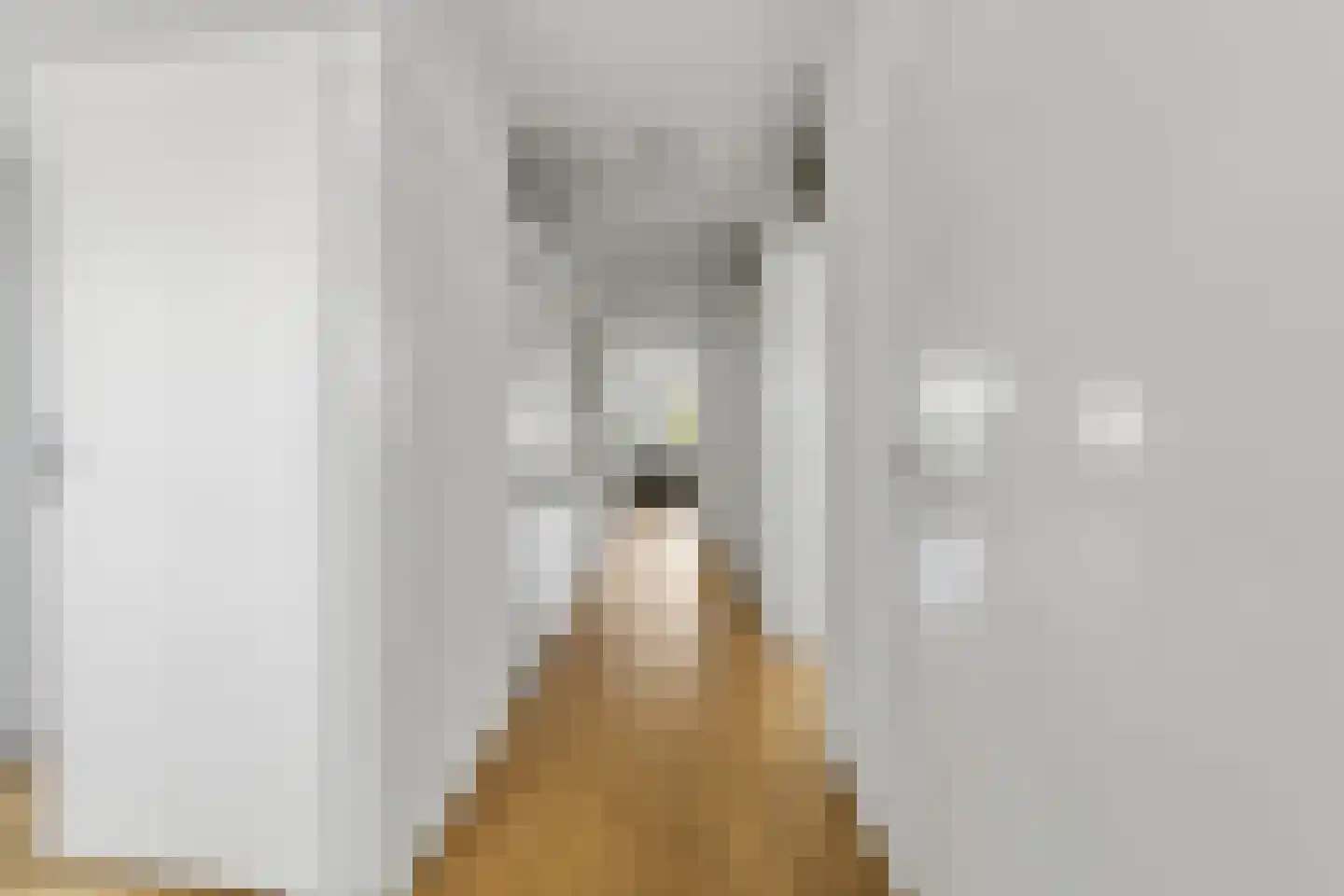 Waldeck Pyrmontkade 69 Den Haag thumbnail 23