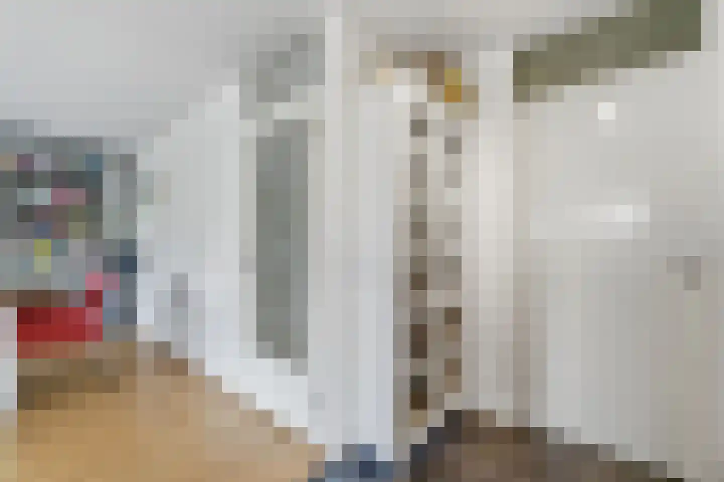Waldeck Pyrmontkade 69 Den Haag thumbnail 24