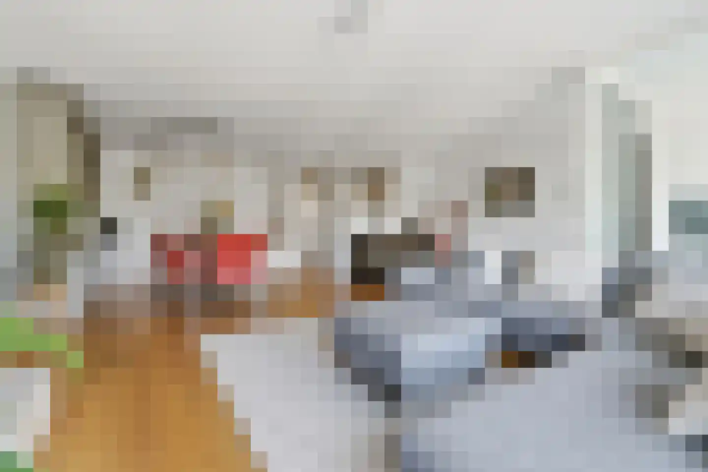 Waldeck Pyrmontkade 69 Den Haag thumbnail 27