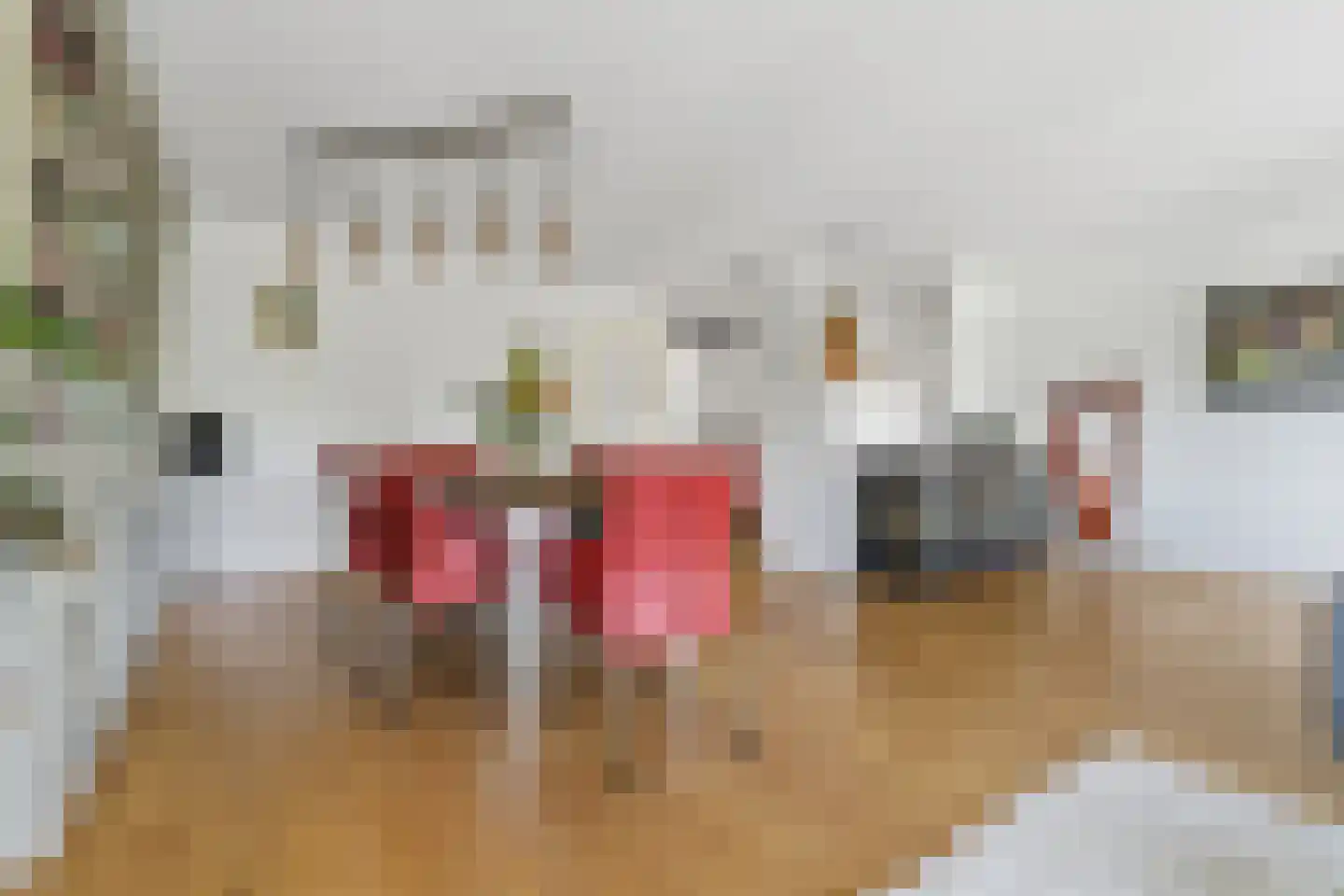 Waldeck Pyrmontkade 69 Den Haag thumbnail 28