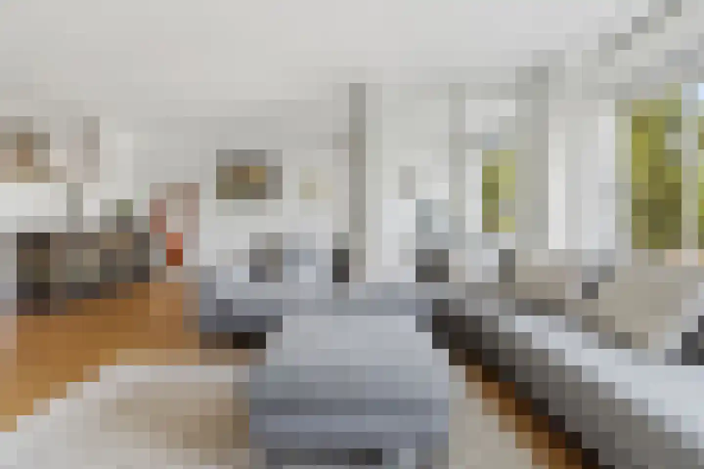 Waldeck Pyrmontkade 69 Den Haag thumbnail 31