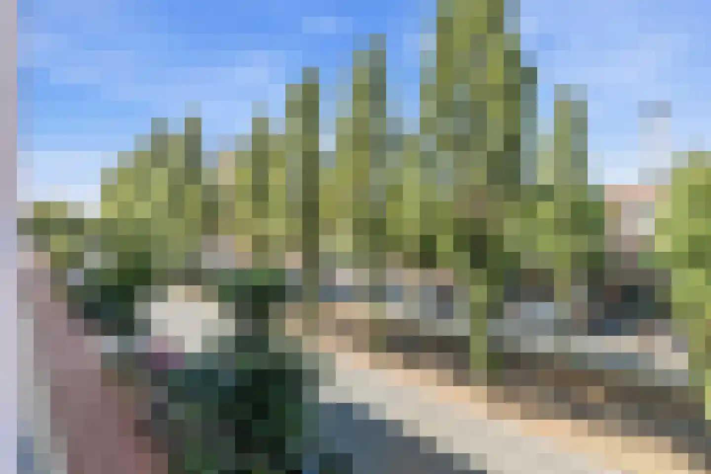 Waldeck Pyrmontkade 69 Den Haag thumbnail 32