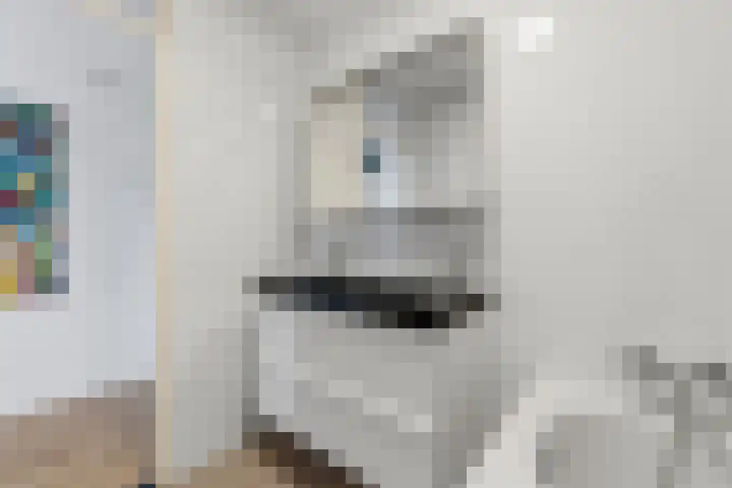 Waldeck Pyrmontkade 69 Den Haag thumbnail 42