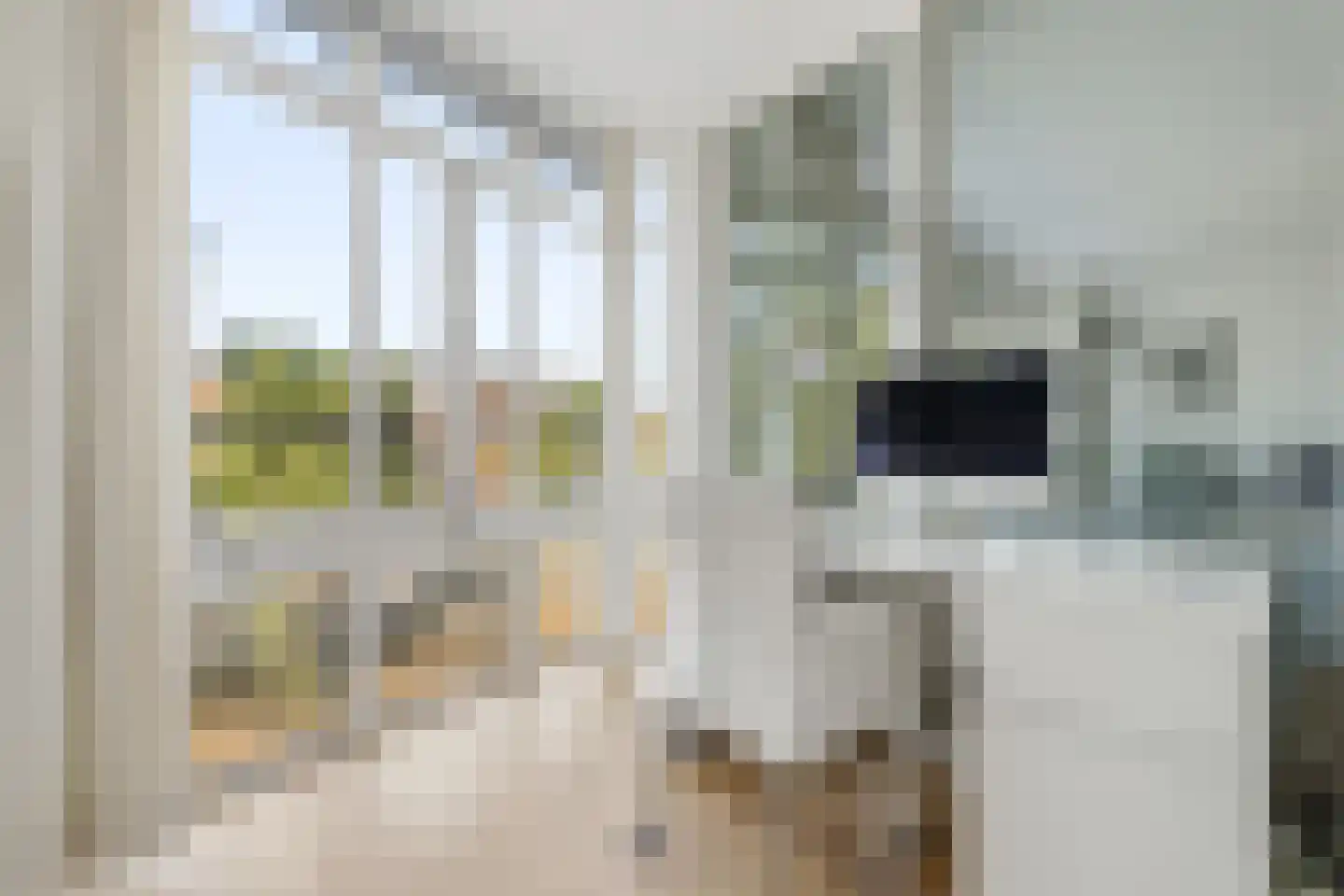 Waldeck Pyrmontkade 69 Den Haag thumbnail 6
