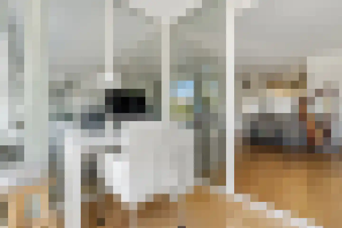 Waldeck Pyrmontkade 69 Den Haag thumbnail 8