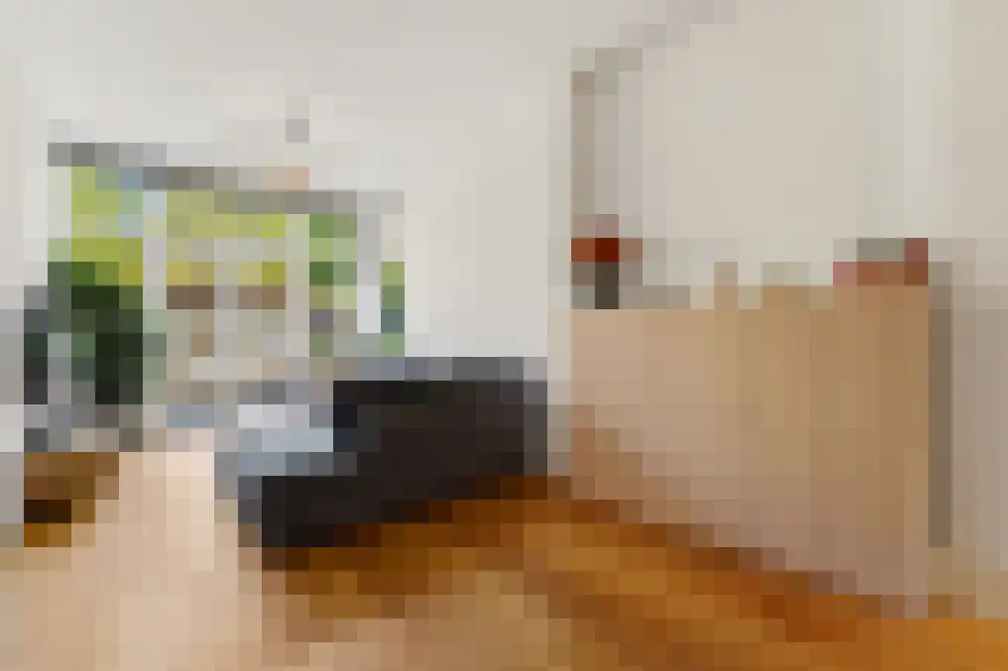 Waldeck Pyrmontkade 885 Den Haag thumbnail 10