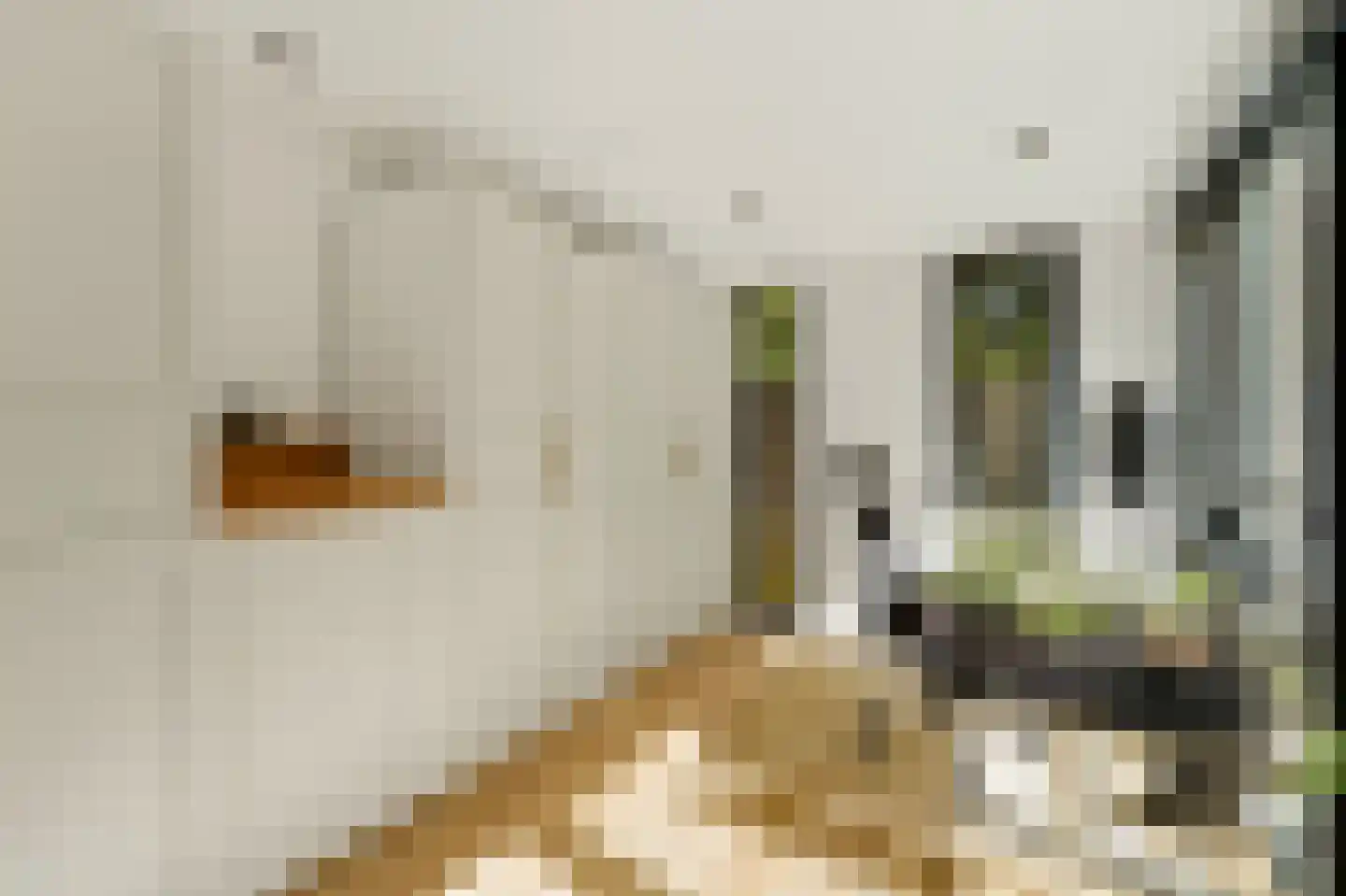 Waldeck Pyrmontkade 885 Den Haag thumbnail 18
