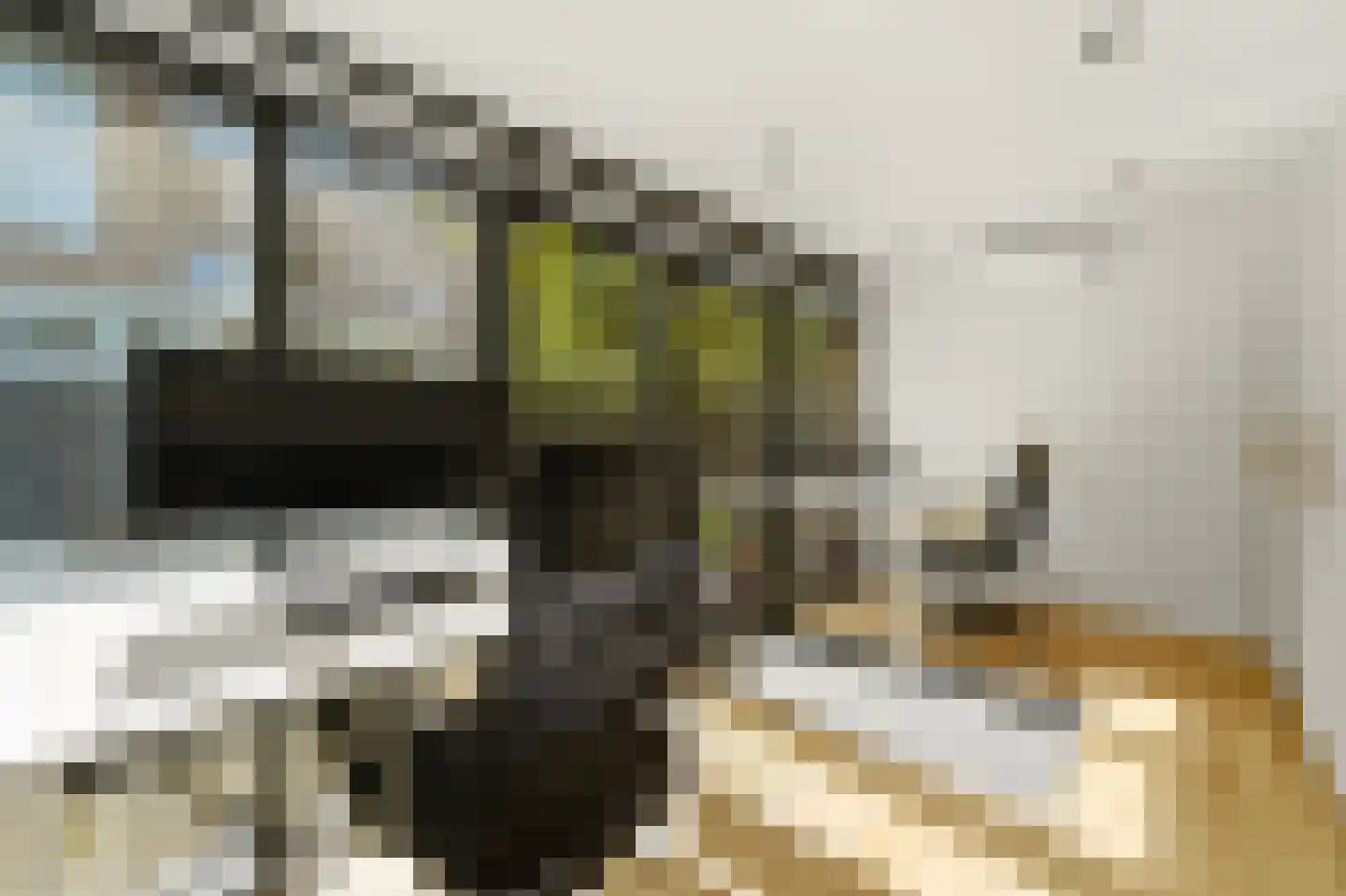 Waldeck Pyrmontkade 885 Den Haag thumbnail 19