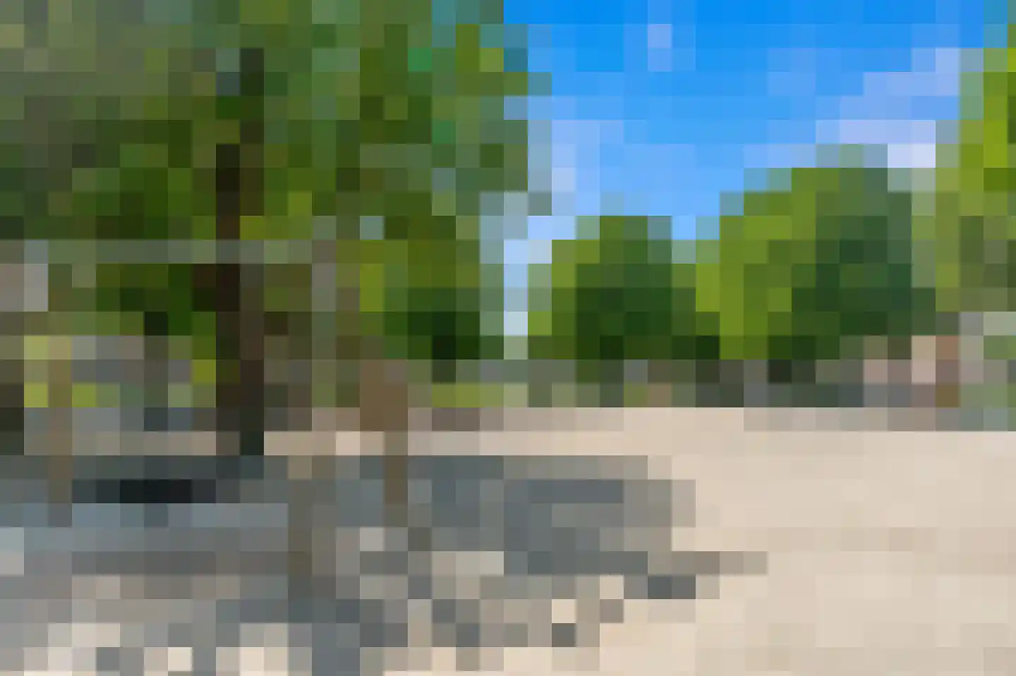 Waldeck Pyrmontkade 885 Den Haag thumbnail 37