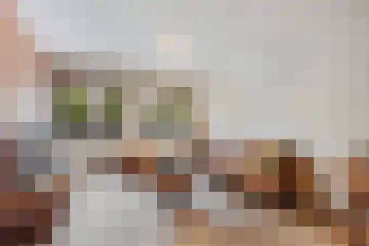 Waldeck Pyrmontkade 92 Den Haag thumbnail 19