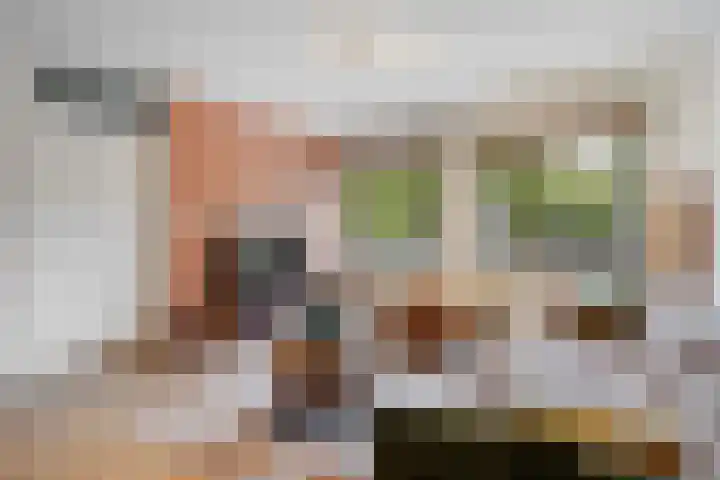 Waldeck Pyrmontkade 92 Den Haag thumbnail 20