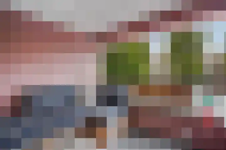 Waldeck Pyrmontkade 92 Den Haag thumbnail 34