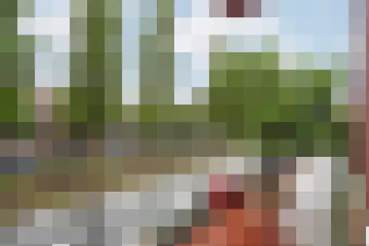 Waldeck Pyrmontkade 92 Den Haag thumbnail 36