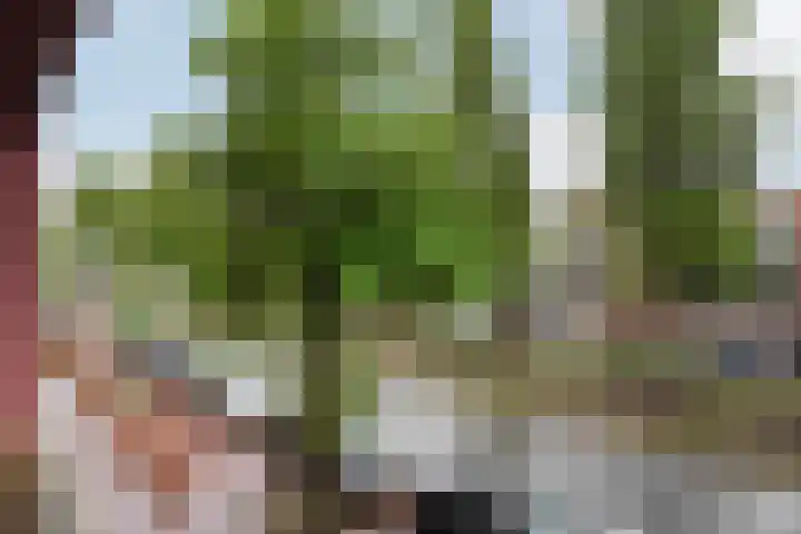Waldeck Pyrmontkade 92 Den Haag thumbnail 37