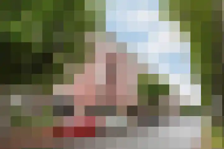 Waldeck Pyrmontkade 92 Den Haag thumbnail 46