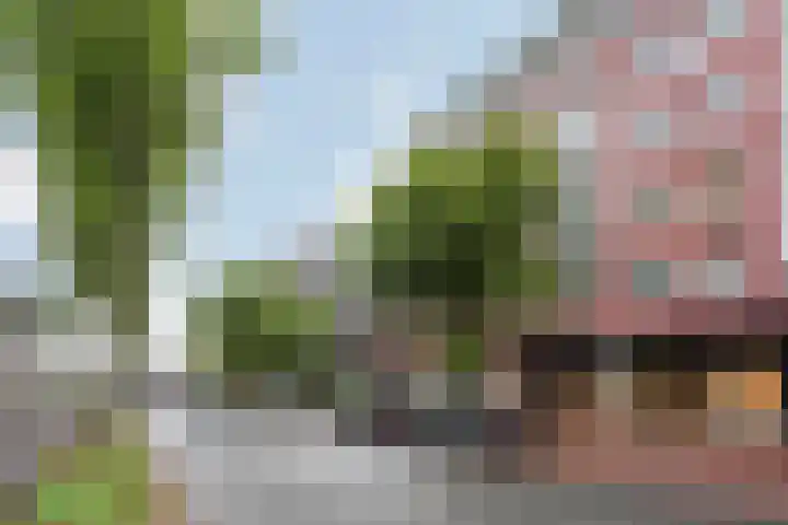 Waldeck Pyrmontkade 92 Den Haag thumbnail 6