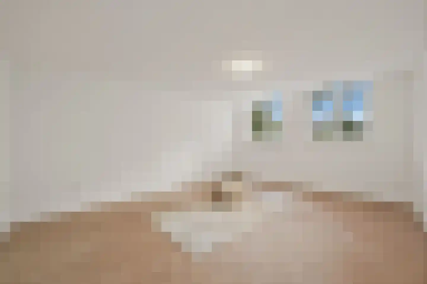 Waldeck Pyrmontkade 925 Den Haag thumbnail 30