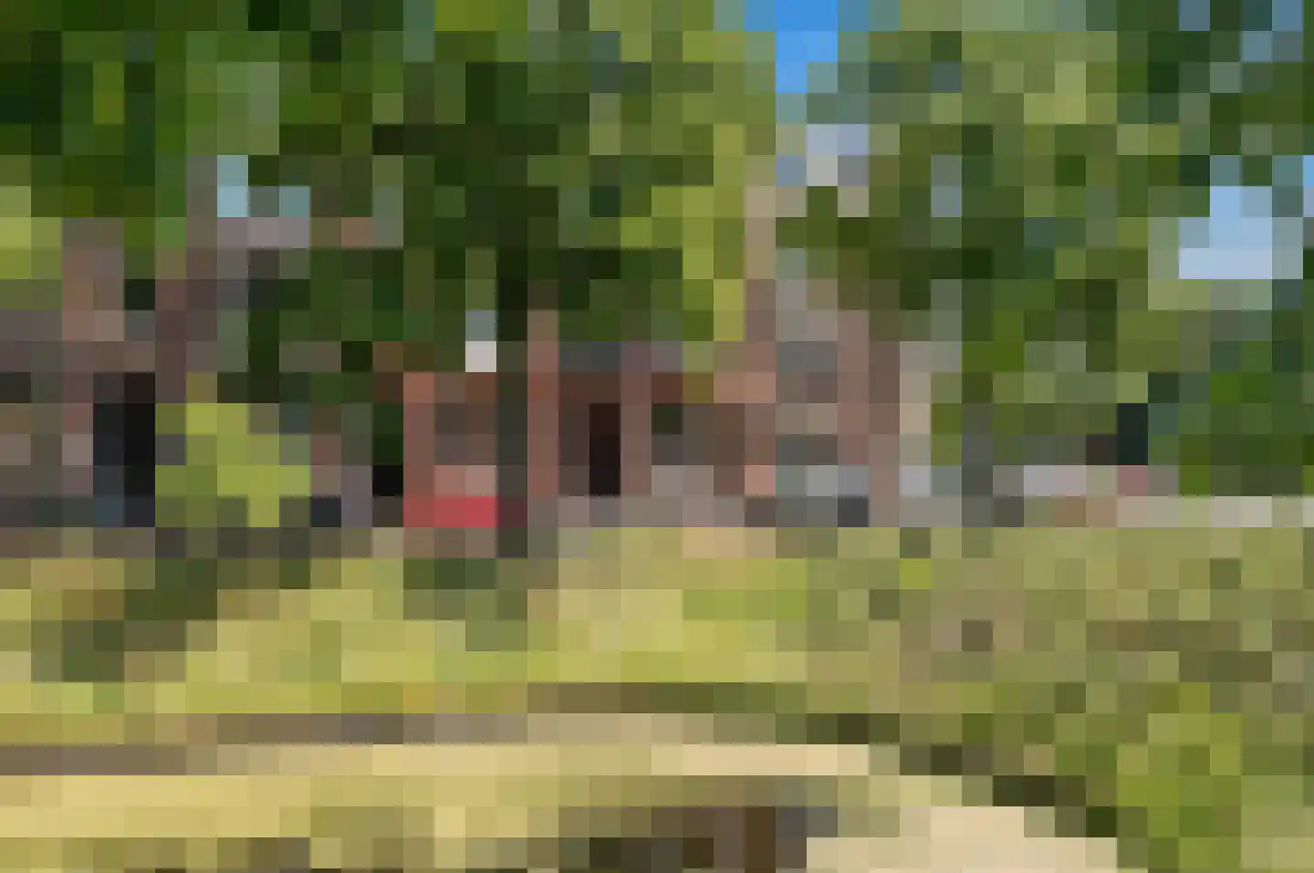 Waldeck Pyrmontkade 925 Den Haag thumbnail 31