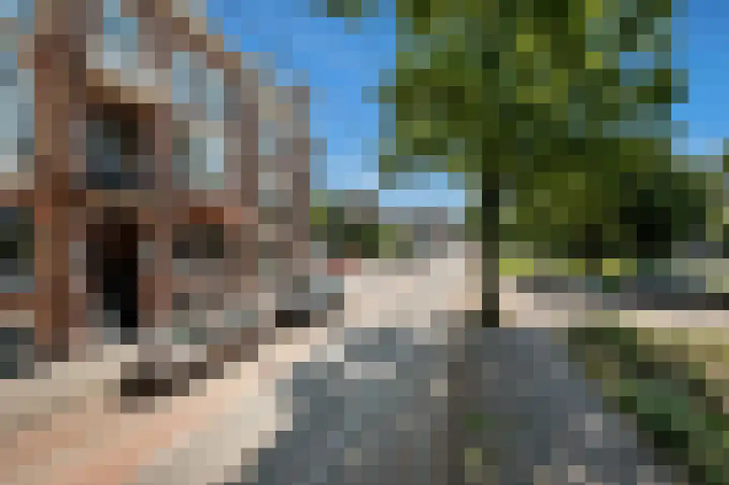 Waldeck Pyrmontkade 925 Den Haag thumbnail 34