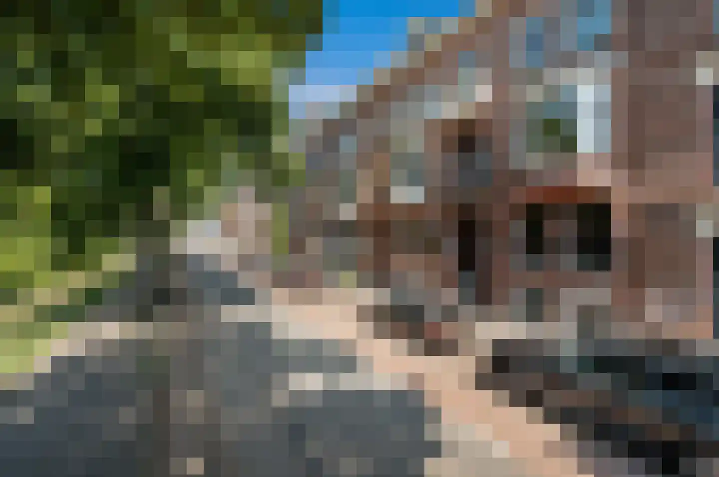 Waldeck Pyrmontkade 925 Den Haag thumbnail 35