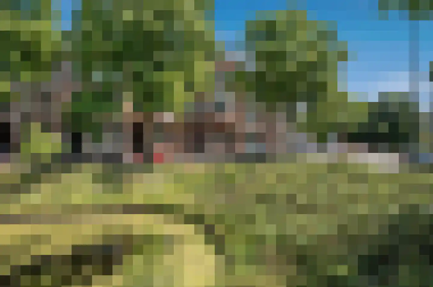 Waldeck Pyrmontkade 925 Den Haag thumbnail 6