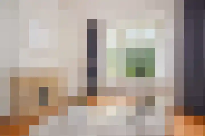 Waldeck Pyrmontkade 926 A Den Haag thumbnail 10